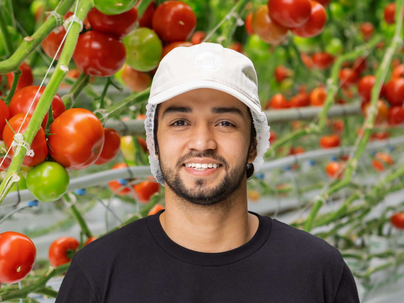 Worker with tomatoes